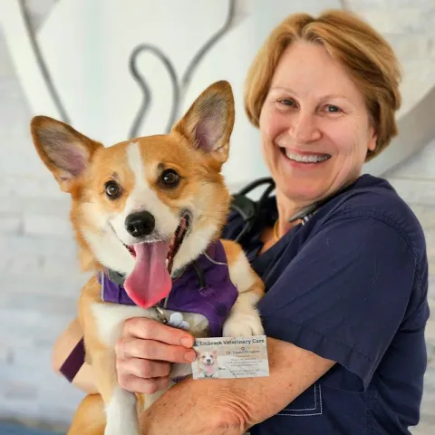 dr with dog at veterinary clinic