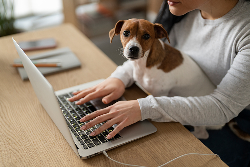 woman on a laptop at a wooden desk with a small dog